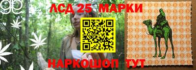 герыч Будённовск