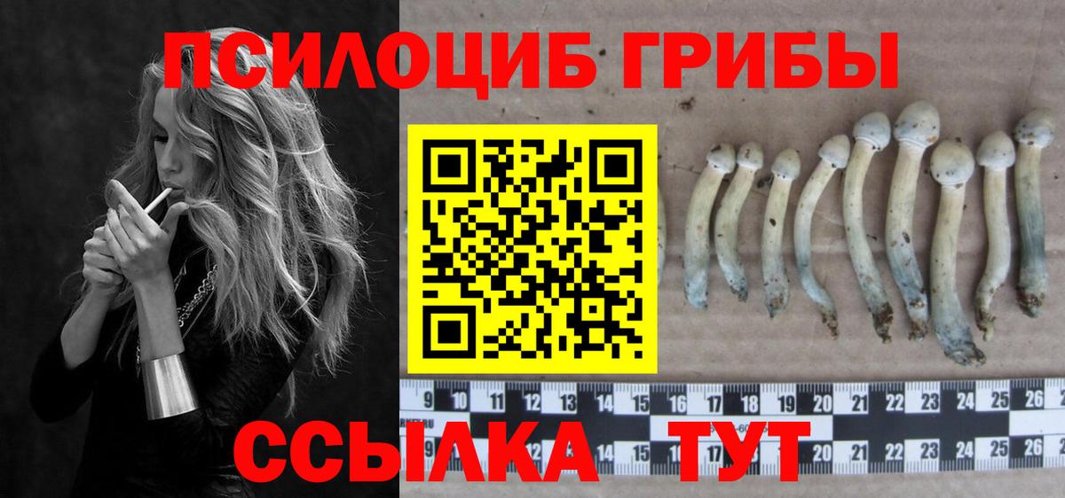 Псилоцибиновые грибы Magic Shrooms Нижнеудинск